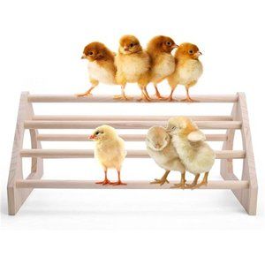 Chicken Perch Chicken Toys for Coop Chicken Swing Chicken Wood Stand Chicken Toy